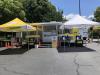 Pop-up Voting Sweet Shade Ability Center